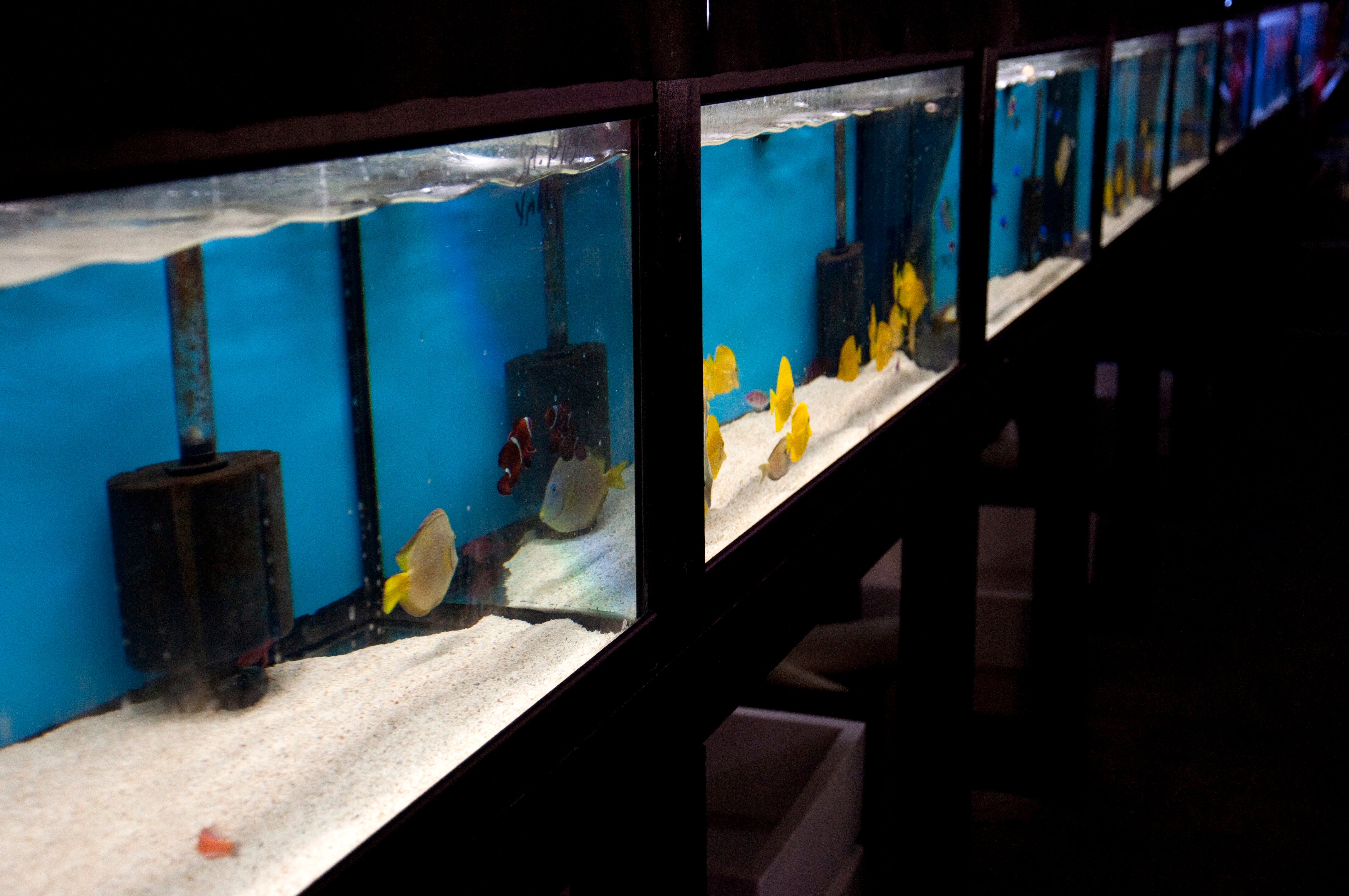 Retail Aquarium Monitoring